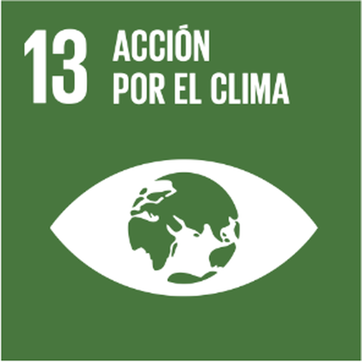 ODS 13: Acción por el clima