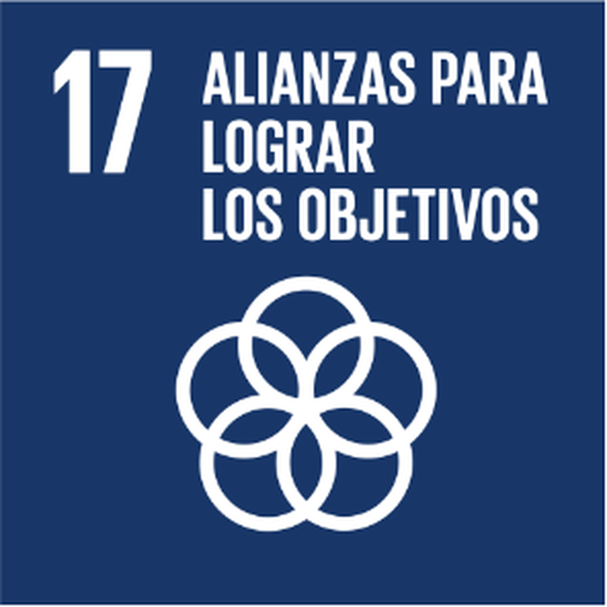 ODS 17: Alianzas para lograr los objetivos